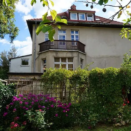 Garden Hostel *